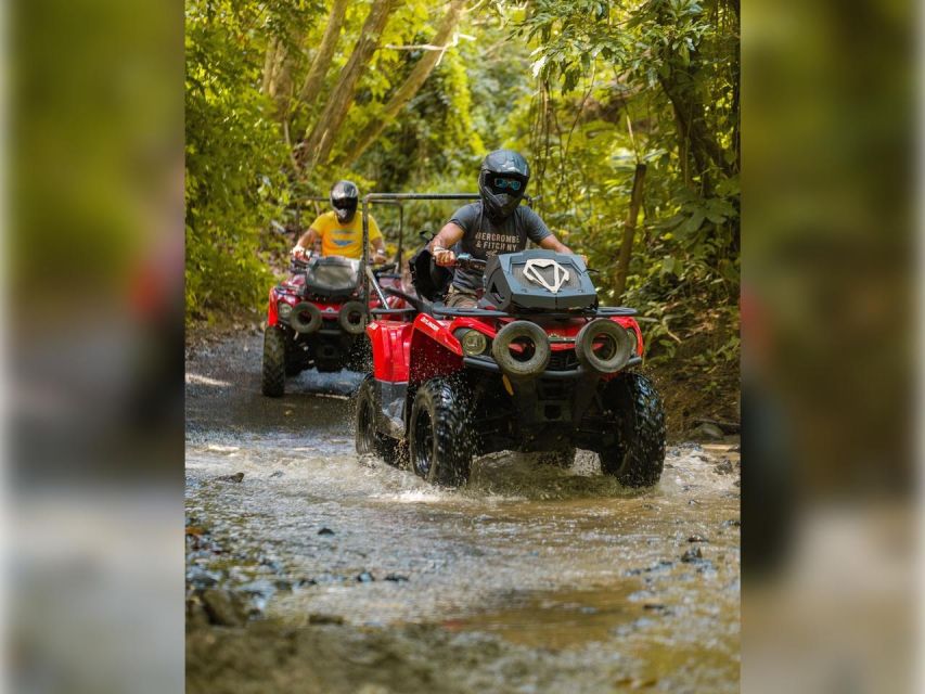Carabalí Rainforest Park: Guided ATV Adventure Tour | GetYourGuide
