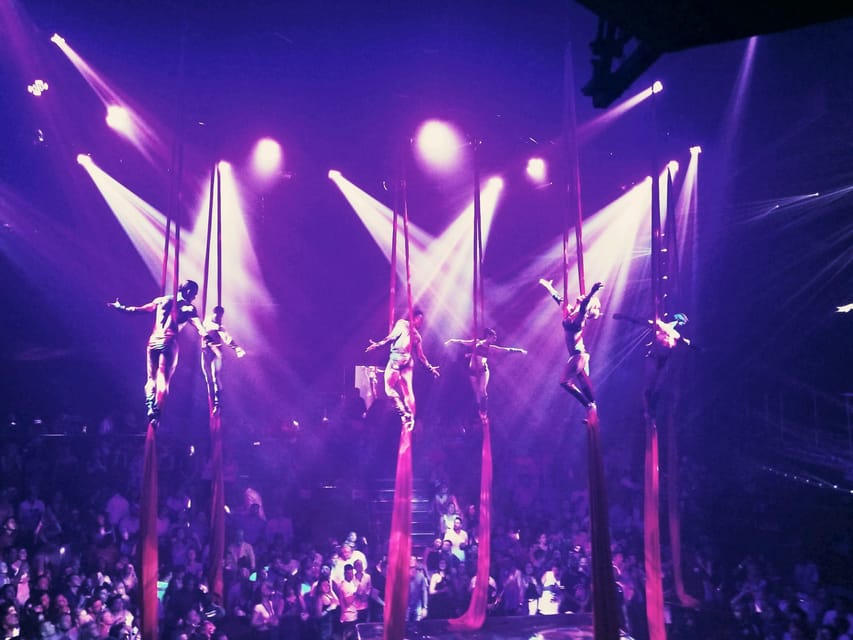 Coco Bongo Punta Cana: Regular Admission, Round Transfer | GetYourGuide