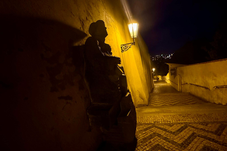 Prague: VIP Prague Castle Night Walk with Panoramic Views VIP Prague Castle Night Walk with Panoramic Views (German)