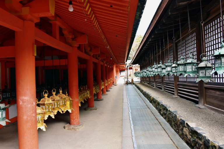Osaka:Nara & Uji In-depth One-Day Tour丨Deer Feeding