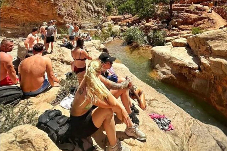 Agadir: Paradise Valley & Imouzzer Waterfall Day Tour