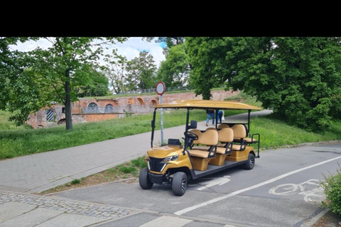 Tour di 1,5 ore in minibus elettrico tra i nani di Wrocław e le sue attrazioni1 ora: Città Vecchia, Università, Mercato, Isola della Cattedrale
