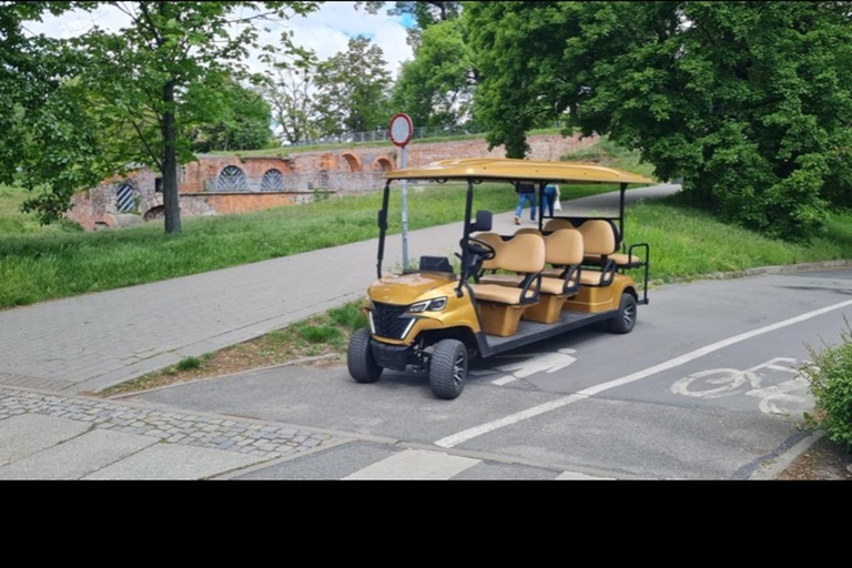Tour di 1,5 ore in minibus elettrico tra i nani di Wrocław e le sue attrazioni1 ora: Città Vecchia, Università, Mercato, Isola della Cattedrale