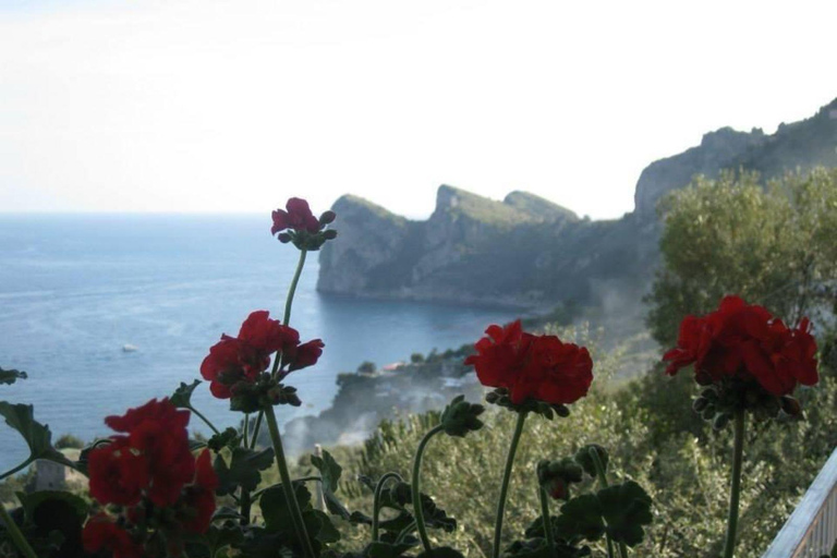 SORRENTO AMALFI COAST: TREKKING AND OVERNIGHT IN NERANO BAY BAY OF NERANO: hiking guide trekking and overnight in Nerano