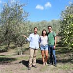 Tour del frantoio e degustazione guidata vicino a Pesaro