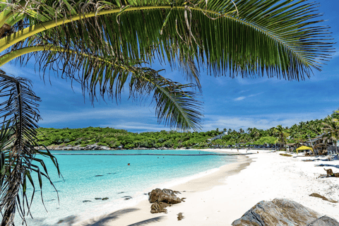 Phuket: Coral and Racha Islands Catamaran Cruise & BBQ Party