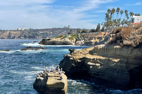 Visite privée de 5 heures de San Diego à bord d&#039;une Lexus ES300H