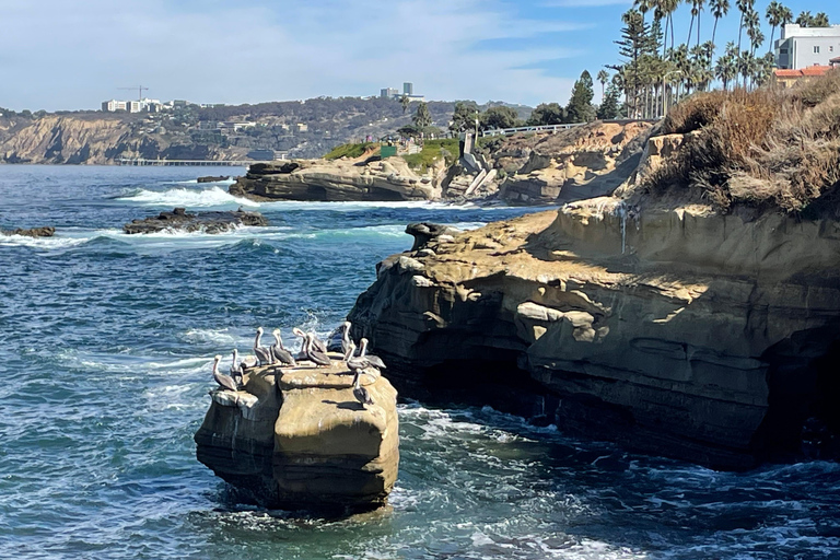 Visite privée de 5 heures de San Diego à bord d&#039;une Lexus ES300H