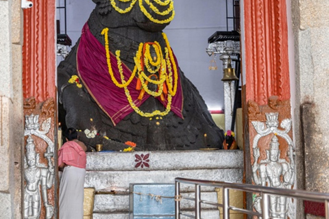 Bangalore Create Your Own Itinerary with Private Car & Guide Bangalore: Full-Day Create Your Own Itinerary