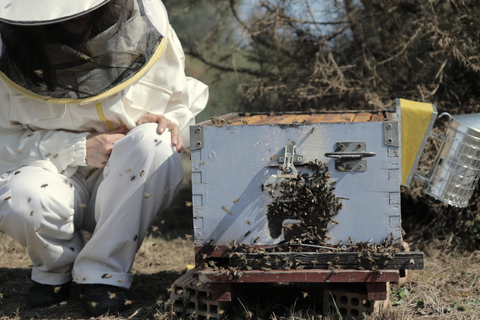 Kalamata: Beekeeping Experience with Honey Tasting