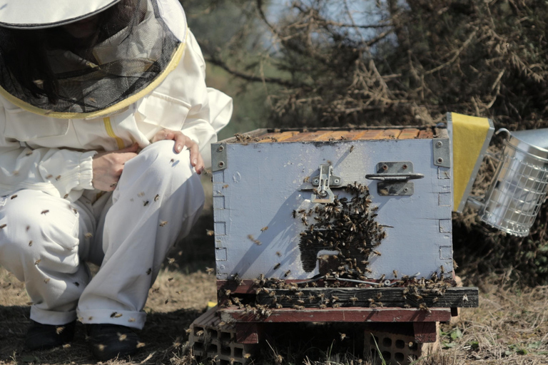 Kalamata: Beekeeping Experience with Honey Tasting