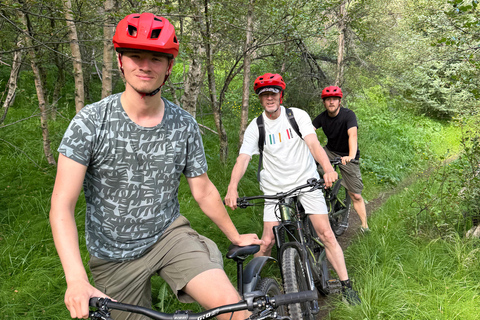 Akureyri: E-Bike Tour with Forest Lagoon Entry