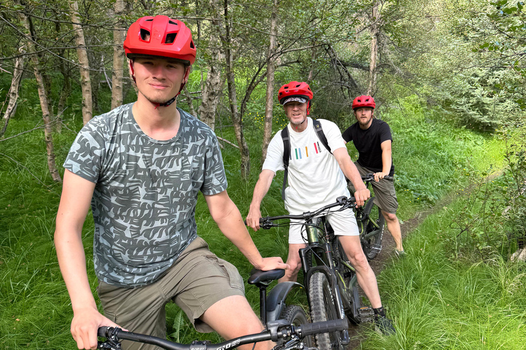 Akureyri: E-Bike Tour with Forest Lagoon Entry