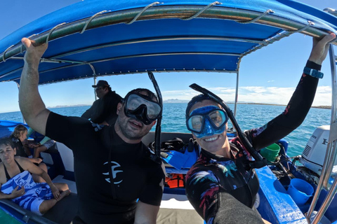 La Paz: Espíritu Santo Island & Whale Shark Day Trip