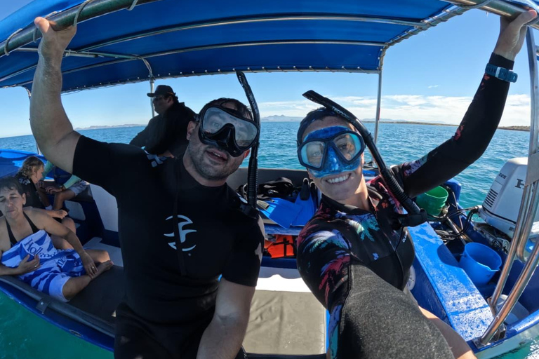 La Paz: Espíritu Santo Island & Whale Shark Day Trip