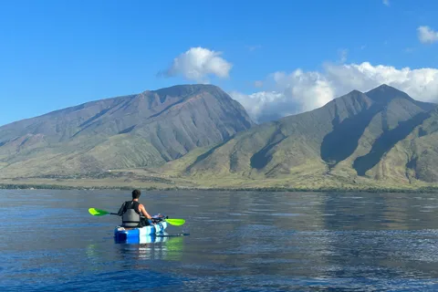 Kayak, Whale Watch And Snorkel At Turtle Town