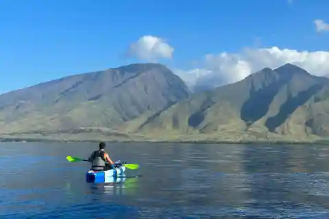 Kayak, Whale Watch And Snorkel At Turtle Town