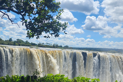 Experience Victoria Falls with an Expert Guide