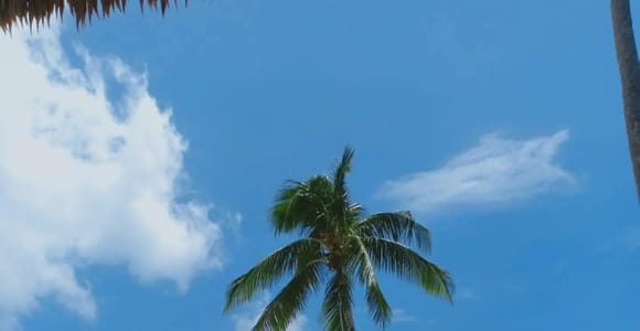 El Nido: Best Private Land Tour with guide and meals