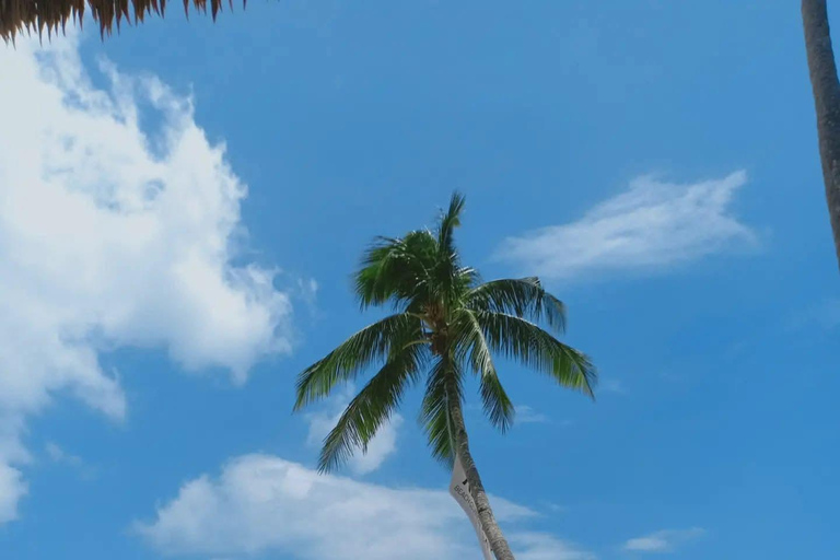 El Nido: Best Private Land Tour with guide and meals
