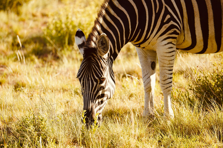 Arusha: 5-Day Private Mid Range Safari with Eyasi And Natron