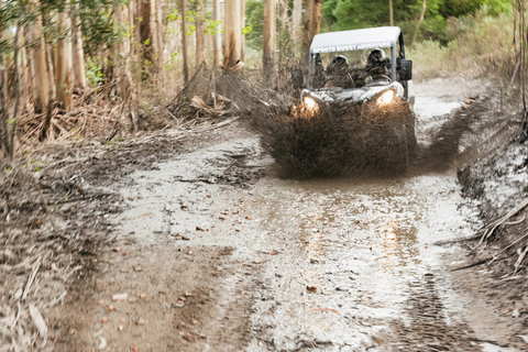 Från Porto: Off-Road Buggy AdventureBuggy 2-sitsig rundtur med upphämtning och avlämning