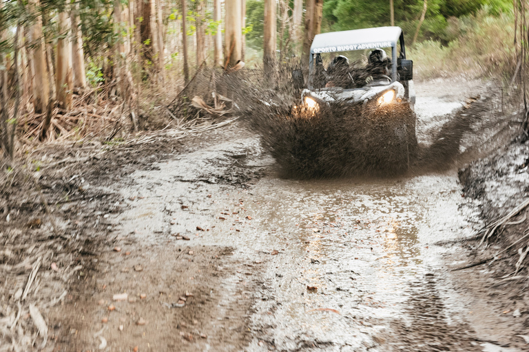 Desde Oporto: aventura en buggy todoterreno