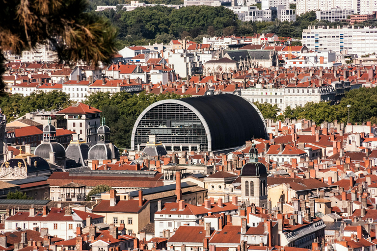 Lyon: Street Culture & Modern Lyon Private Walking Tour 2 Hour Private Walking Tour
