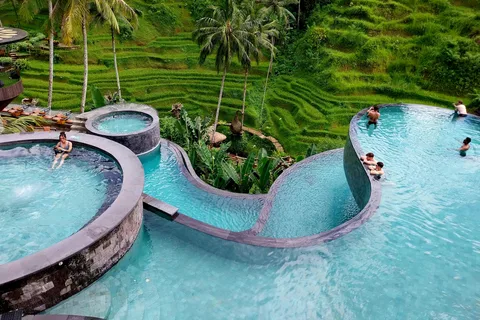 Bali: Tour di Cretya Ubud e del santuario della foresta delle scimmie