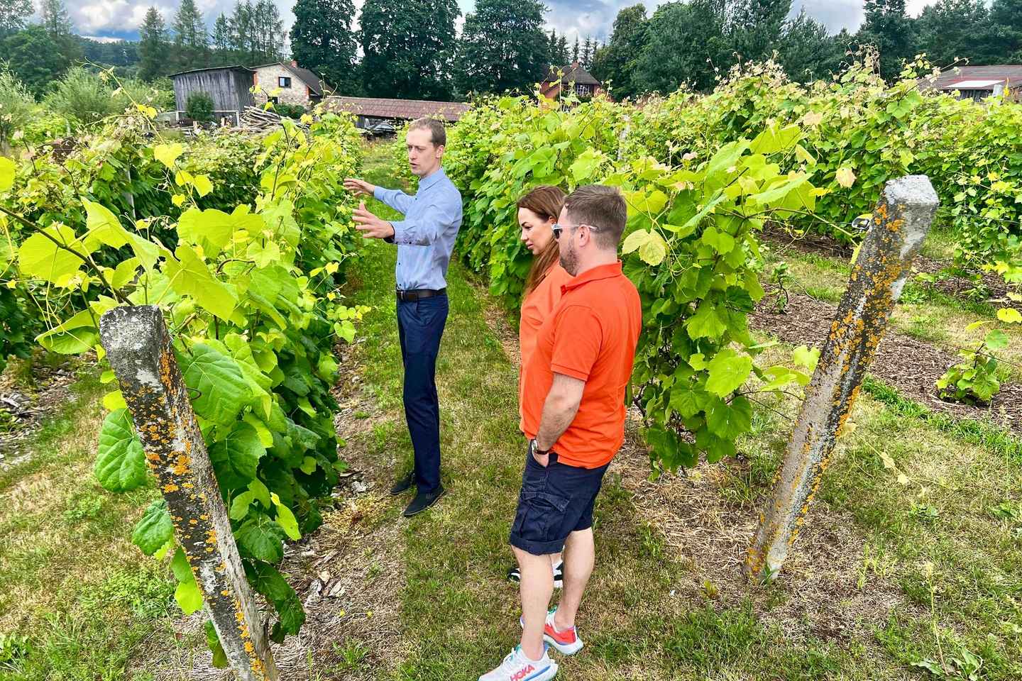 From Riga: Kuldiga UNESCO, Waterfall & Wine Day Trip