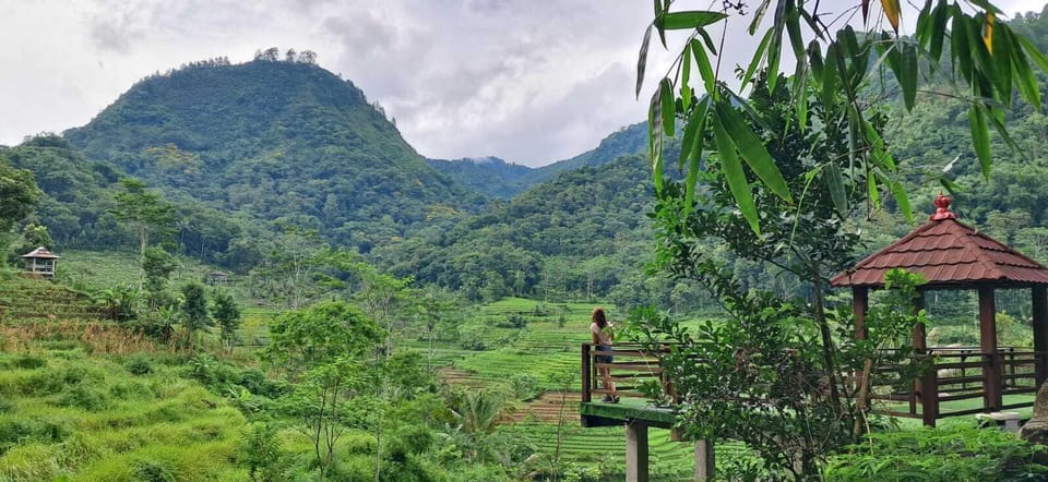 Yogyakarta : Java Rice Terrace Trek & Selogrio Temple Tour | GetYourGuide