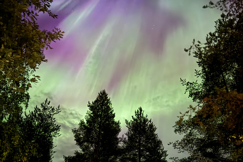 De Rovaniemi: Excursão à aurora boreal com lanches à fogueira