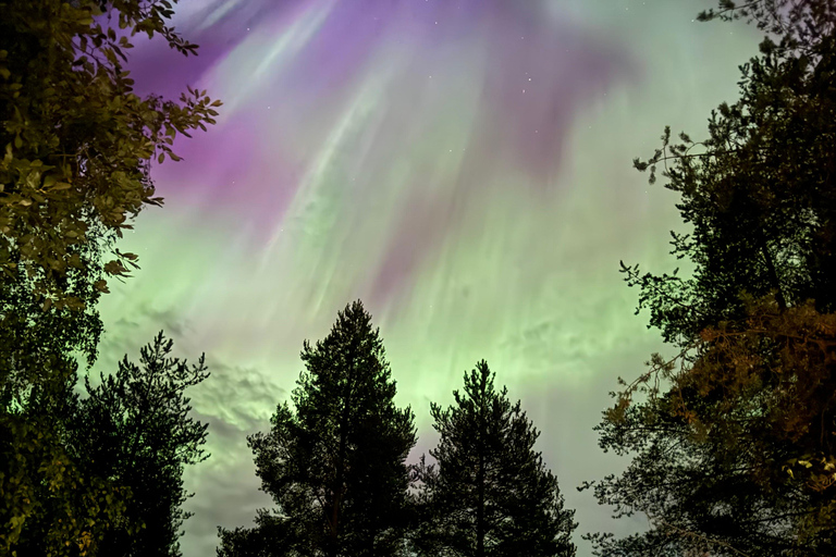 De Rovaniemi: Excursão à aurora boreal com lanches à fogueira