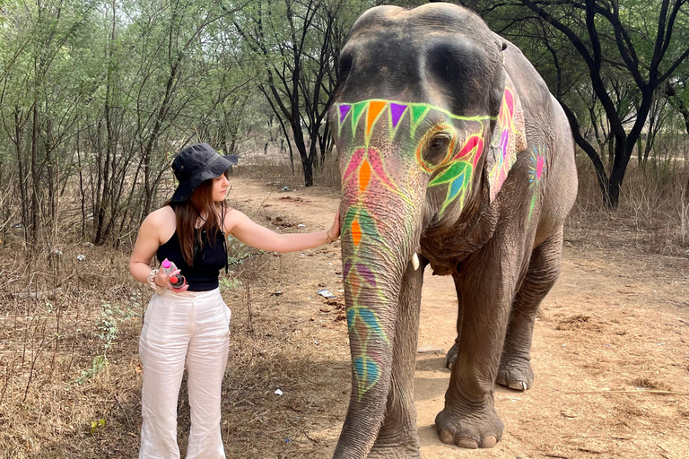 Elefun, il miglior santuario degli elefanti a Jaipur