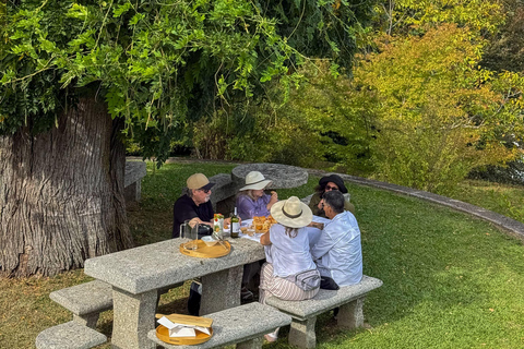 Douro Valley: Wine & Olive Oil Tour with Boat & Lunch Douro Valley: 2 Wineries, Boat Cruise & Traditional Lunch