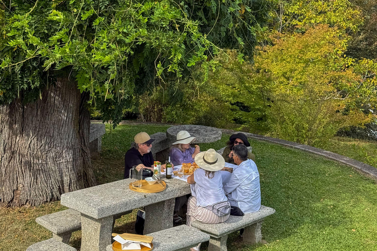 Douro Valley: Wine & Olive Oil Tour with Boat & Lunch Douro Valley: 2 Wineries, Boat Cruise & Traditional Lunch