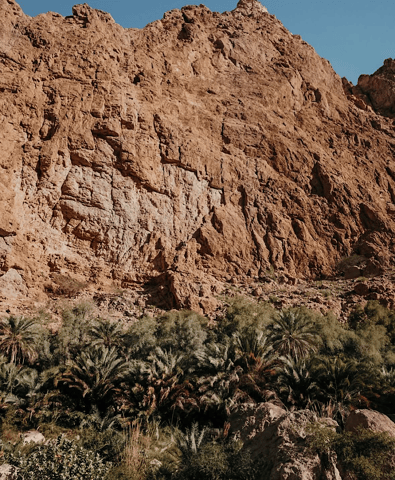 Muscat: Wadi Shab, Hidden Cave Waterfall Tour