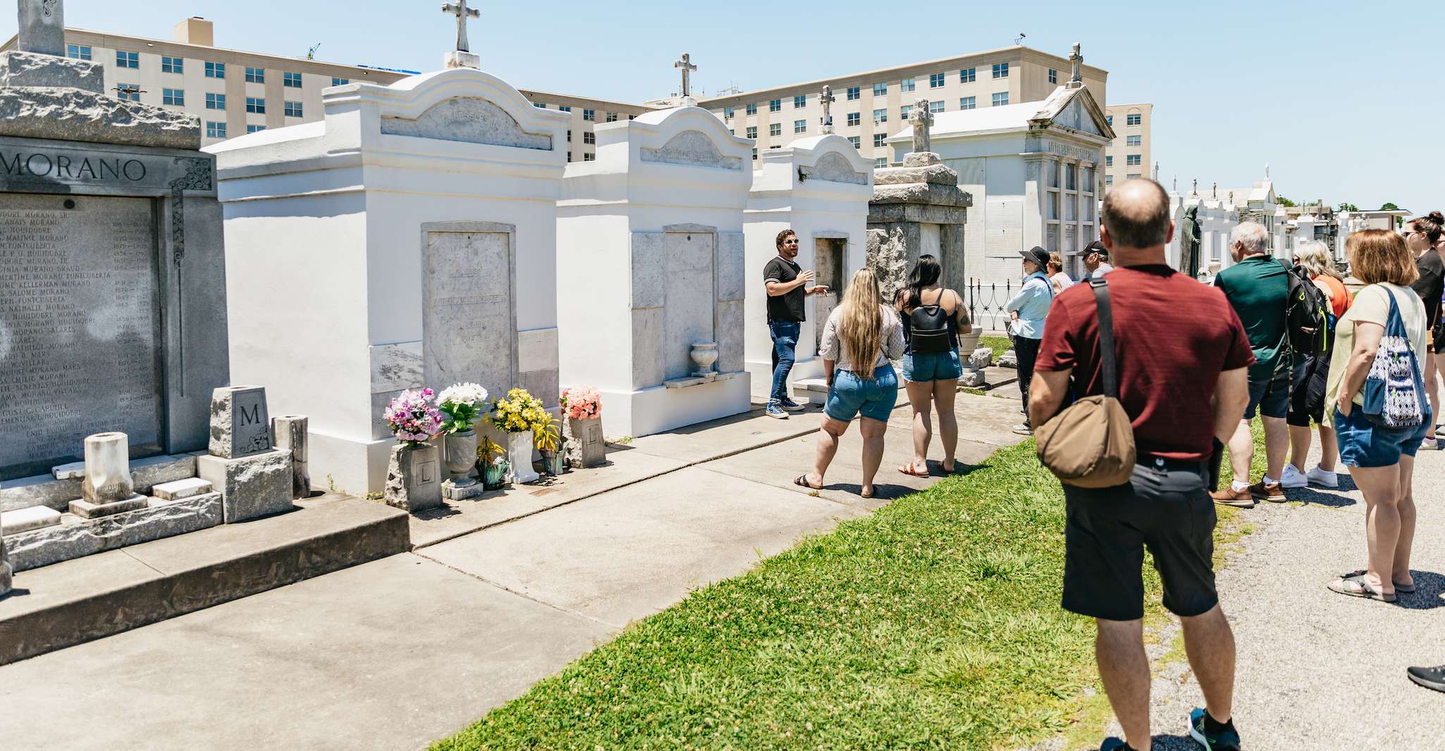 New Orleans, Gezi Otobüs Turu - Hizvo