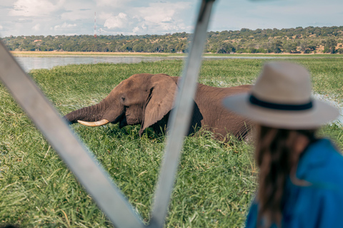 Victoria Fall: Guided Chobe Game Drive, River Cruise & Lunch