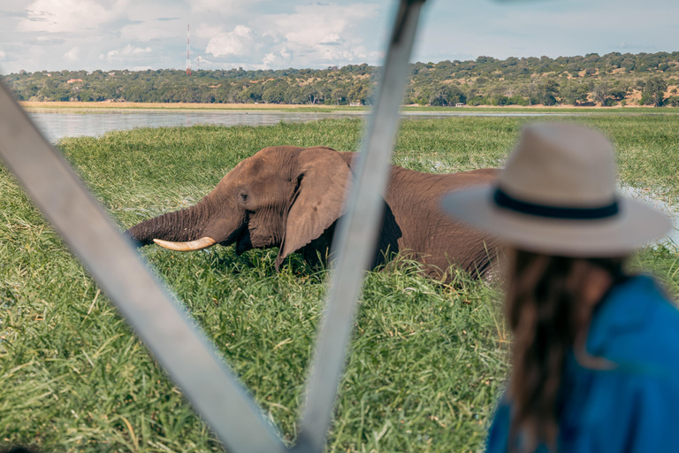 Victoria Fall: Guided Chobe Game Drive, River Cruise & Lunch