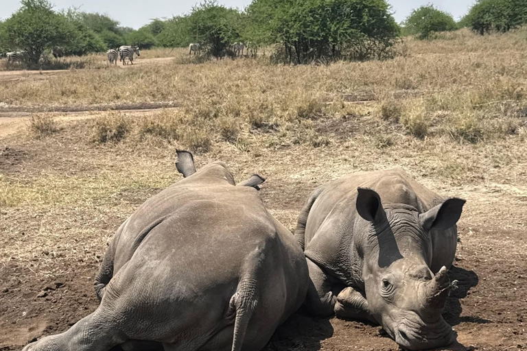 Golden Hour Safari: Afternoon Game Drive in Nairobi park National Park, Elephant Orphanage & Giraffe Private- Van