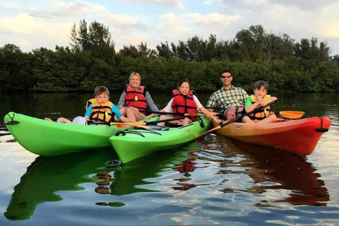 Tour in kayak di 5 ore attraverso la foresta di mangrovie