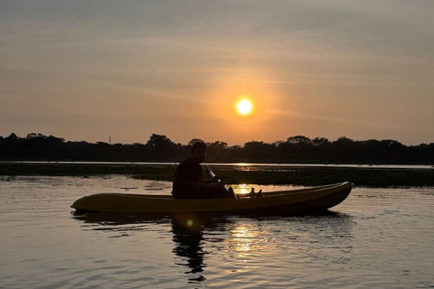 Sigiriya: Prime Horizon Kayak Experience