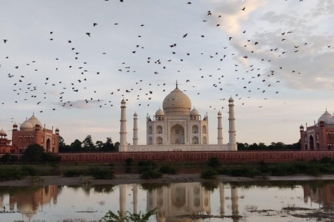 Vanuit Delhi:- Taj Mahal privétour met gids met optiesTaj Mahal tour met ticket & ophaalservice vanaf je hotel in Agra