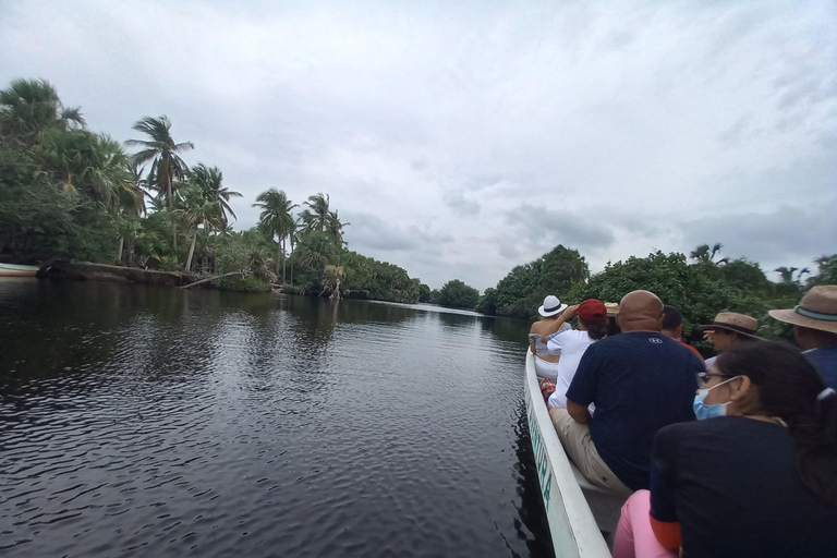 Desde Huatulco: Excursión Ecológica Cocodrilos y TortugasServicio Privado en Vehículo Avanza