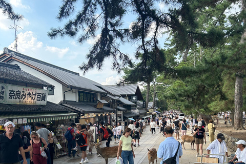 Nara: tour con ciervos, el Gran Buda y demostración de mochi