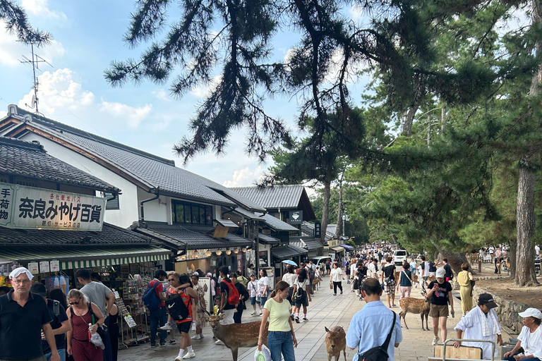Nara: tour con ciervos, el Gran Buda y demostración de mochi