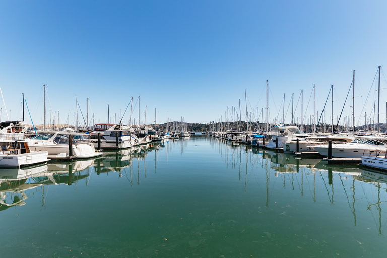 Z San Francisco: wycieczka grupowa Muir Woods i Sausalito