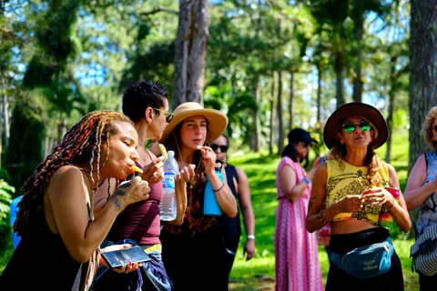 Croydon in the Mountains - Eco Farm Tour with Lunch