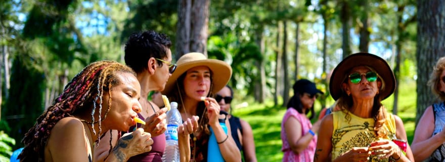 Croydon dans les montagnes - Visite d'une ferme écologique avec déjeuner